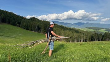 Lelekale popruh na dřevo